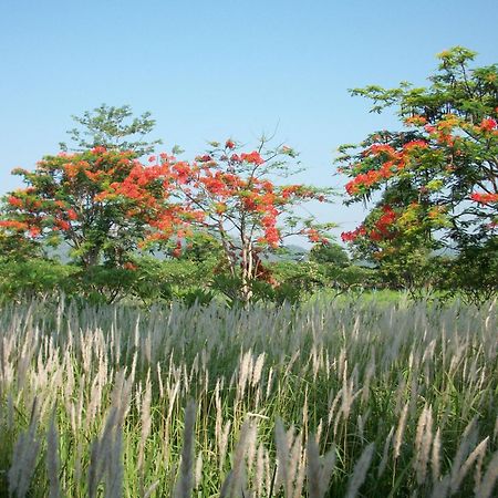 Lilawalai Resort Nong Nam Daeng Dış mekan fotoğraf