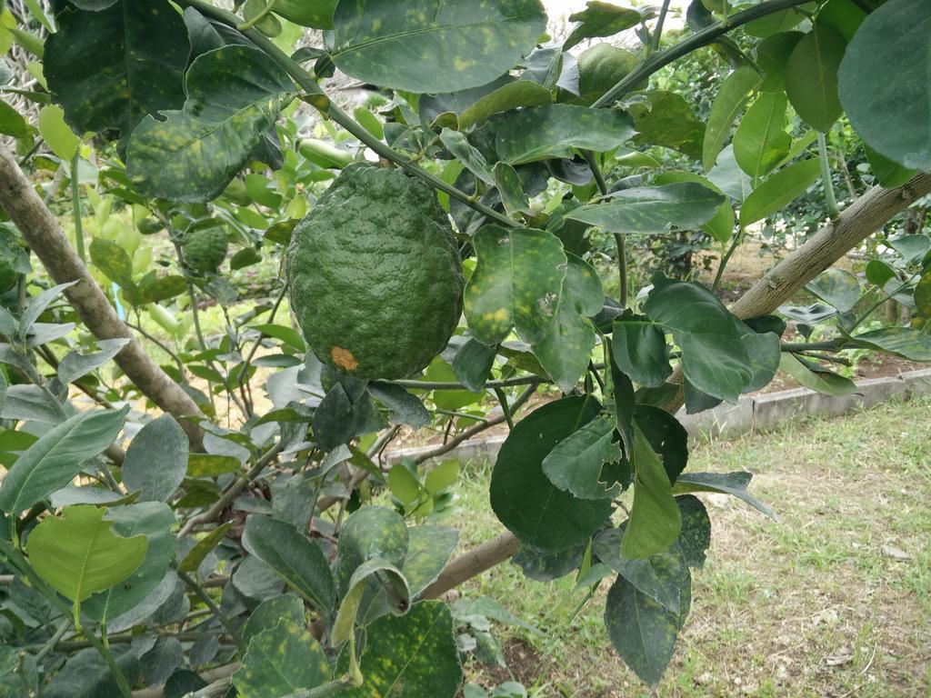 Lilawalai Resort Nong Nam Daeng Dış mekan fotoğraf