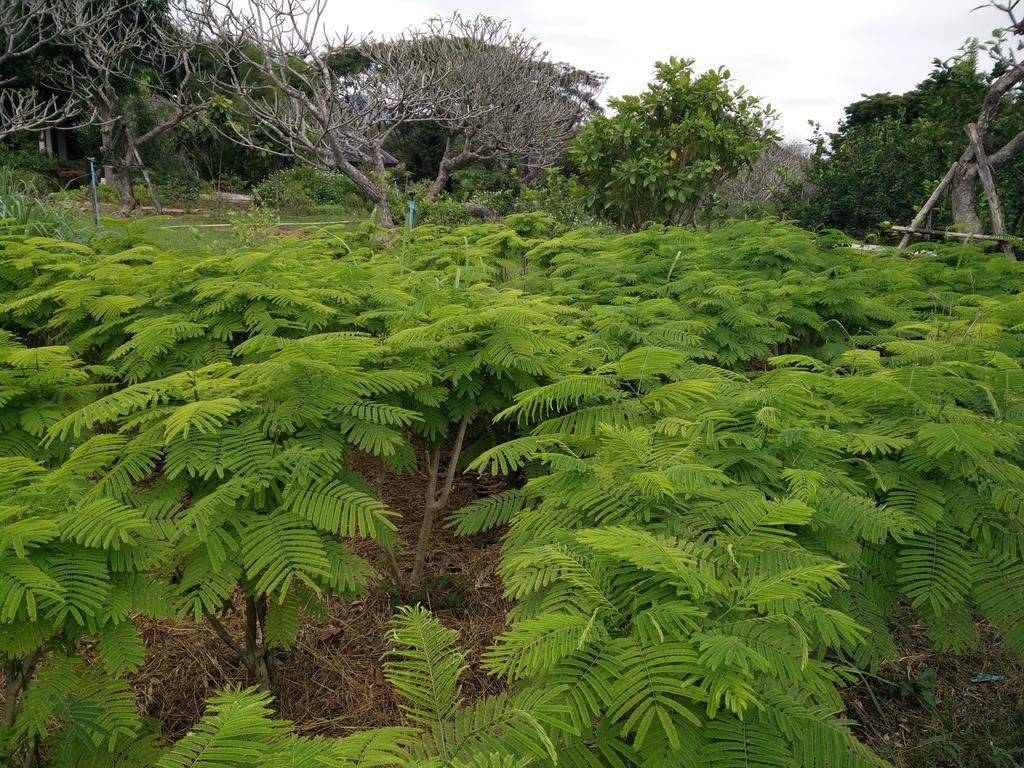 Lilawalai Resort Nong Nam Daeng Dış mekan fotoğraf