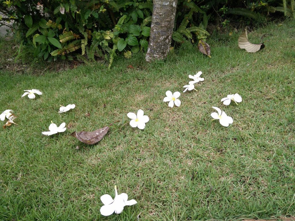 Lilawalai Resort Nong Nam Daeng Dış mekan fotoğraf